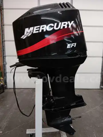 Freshwater 2002 Mercury EFI 225HP Long Shaft