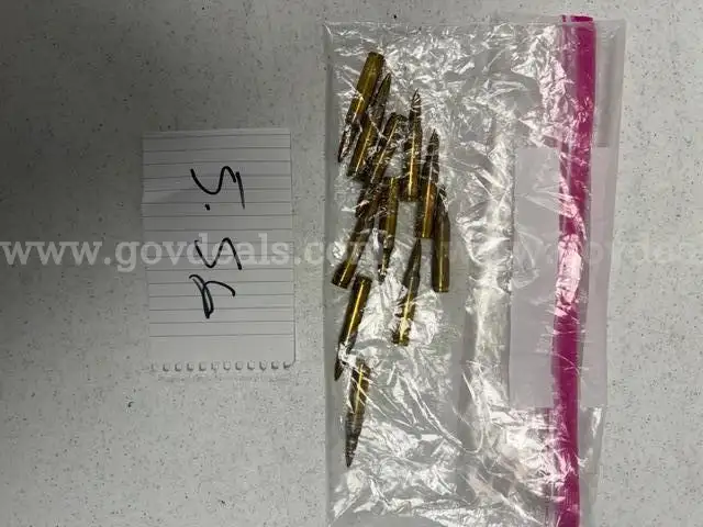 Lot of Assorted Ammuniton, and Shotgun Shells