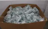 Bulk Lot &#x2013; 11,200 New Cat6 Ethernet Cables (7FT) | 1,120 Packs of 10 | NEW in Packaging