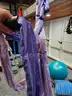 NEW Yoga Body Aerial Yoga Trapeze / Hammock - Pro Model