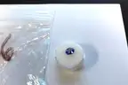 Oval Fancy Cut Natural Blue Tanzanite - 1.88 carats