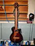 Ibanez AEB24E-MHS Acoustic-Electric Bass Guitar