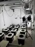 Entire Current Culture XL12 Under Current Hydroponic System