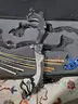Lot of (3) Bows, Limbs, Arrows, and Other Accessories - Complete Martin Archery Recurve Collection