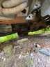 2006 Chevrolet Express School Bus