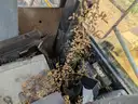 2000 Caterpillar 966G Wheel Loader