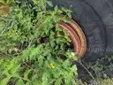 2000 Caterpillar 966G Wheel Loader