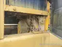 1977 John Deere 670 Articulated Motor Grader