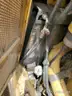Caterpillar D6R LGP Crawler Dozer