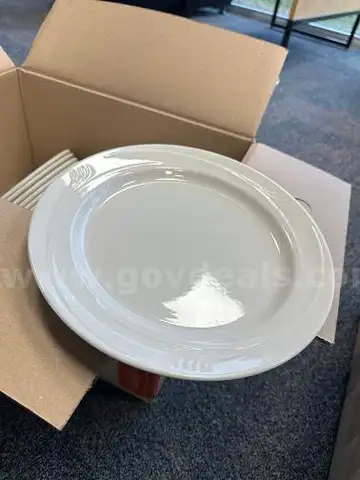 10" Plates (140)