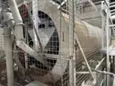 Complete Line 5 - Pulse &#x26; Grain Processing / Fine Cleaning Line (Human Consumption Grade)