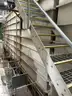 Complete Line 5 - Pulse &#x26; Grain Processing / Fine Cleaning Line (Human Consumption Grade)