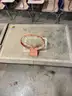 Basketball Glass Backboards with extra hoops Set of 2
