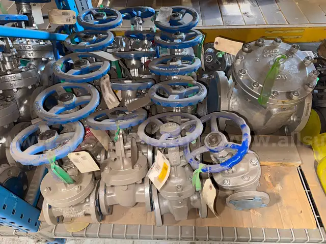 Valves, Gate, Ball, Check, Globe, Butterfly, .50 in to 6in, 150# to 800#, CS, SS, 1 LOT