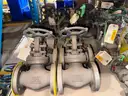 Valves, Gate, Ball, Check, Globe, Butterfly, .50 in to 6in, 150# to 800#, CS, SS, 1 LOT
