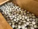 Support Media, Inert Ceramic And Alumina, Denstone, Qty 50 Containers