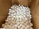 Support Media, Inert Ceramic And Alumina, Denstone, Qty 50 Containers