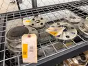 Fittings and Flanges, Stainless and Carbon, 0.5in to 8in, 150 to 300#, Qty Approx 729 Pcs
