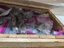 Flanges &#x26; Fittings, Stainless Steel, Elbows, Tees, Caps, Reducers, &#x26; More, UNUSED, 1 Lot