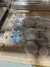 Flanges &#x26; Fittings, Stainless Steel, Elbows, Tees, Caps, Reducers, &#x26; More, UNUSED, 1 Lot