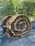 TRACK ROLLERS, USED D10