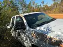 2010 Chevrolet Silverado 1500 Work Truck Extended Cab 4WD