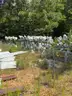 1 Lot of 65 Metal Halide Stadium Lights