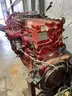 2023 Kenworth 310