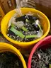 Lot of Miniature Lights (Christmas Lights)