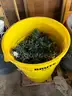 Lot of Miniature Lights (Christmas Lights)
