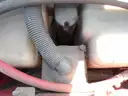 Factory Cat