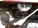 Factory Cat