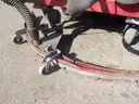 Factory Cat