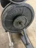 Weider Bench Weight with Weight Plates