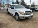 2013 Ford F-150 XLT SuperCrew 5.5-ft. Bed 4WD abandoned with key and clean title