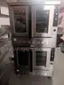 Convection Oven