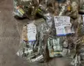 Large Lot of Assorted Hydraulic Hose Fitting Fittings Parker Eaton HY