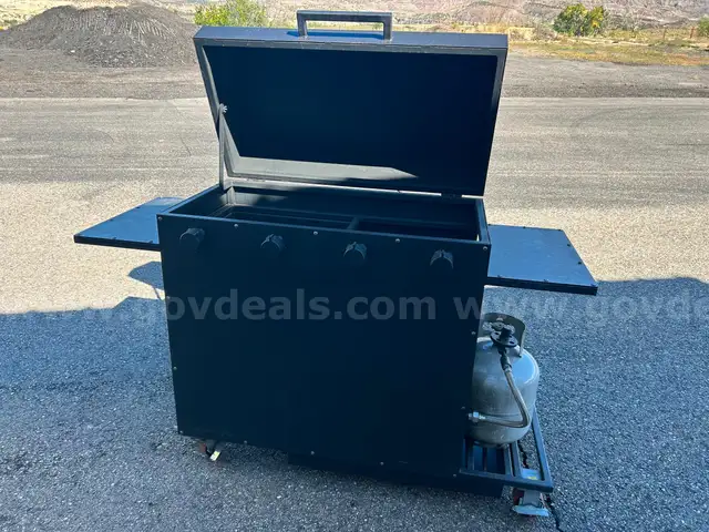 Lion live fire props