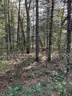 Half acre vacant lot in Baldwin, Lake CO. MI with views of Bush Lake! Rec capital of MI!
