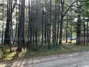 Half acre vacant lot in Baldwin, Lake CO. MI with views of Bush Lake! Rec capital of MI!