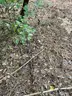 Half acre vacant lot in Baldwin, Lake CO. MI with views of Bush Lake! Rec capital of MI!