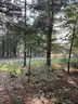 Half acre vacant lot in Baldwin, Lake CO. MI with views of Bush Lake! Rec capital of MI!