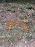 Half acre vacant lot in Baldwin, Lake CO. MI with views of Bush Lake! Rec capital of MI!