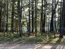 Half acre vacant lot in Baldwin, Lake CO. MI with views of Bush Lake! Rec capital of MI!