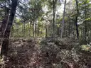 Half acre vacant lot in Baldwin, Lake CO. MI with views of Bush Lake! Rec capital of MI!