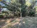 Half acre vacant lot in Baldwin, Lake CO. MI with views of Bush Lake! Rec capital of MI!
