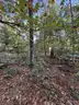 Half acre vacant lot in Baldwin, Lake CO. MI with views of Bush Lake! Rec capital of MI!