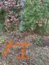 Half acre vacant lot in Baldwin, Lake CO. MI with views of Bush Lake! Rec capital of MI!