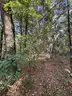 Half acre vacant lot in Baldwin, Lake CO. MI with views of Bush Lake! Rec capital of MI!