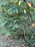 Half acre vacant lot in Baldwin, Lake CO. MI with views of Bush Lake! Rec capital of MI!